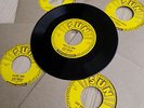 Elvis Sun Replica 5 x 45 RPM Singles - Vinyl Limited Edition Neu