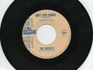 The Crickets  Don't Ever Change On Liberty Original Promo 45