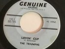 The Triumphs It’s So Easy Lovin’ Cup Rare Genuine 45 Rare Garage Rock Psych