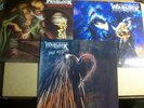 3 x  Warlock LPs - Triumph and a gonny, True  as steel, Burning the Witches