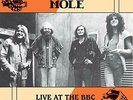 Matching Mole - Live At the Bbc 1972 - LP Vinyl - New