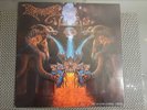 DISMEMBER - Like an Ever Flowing Stream 1PRESS LP 1991 OIS + Merchandise Sheet