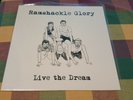 Ramshackle Glory Live the Dream Vinyl LP Record Savage Wasteland Plan-It-X