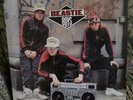 Beastie Boys - Solid Gold Hits 2x12