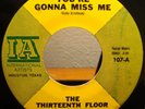 Thirteenth Floor Elevators ?You're Gonna Miss Me - IA 107 - VERY NICE COPY