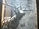 AGALLOCH The Mantle 2LP ORIG  grey vinyl Ulver, Solstafir, Mgla, Opeth, Di6
