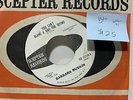 Barbara Ruskin You Cant Blame A Girl For Trying Scepter 12110 Promo VG++ WOL