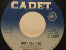GEORGE KIRBY What Can I Do/Good Night Irene 45 Cadet promo northern soul hear