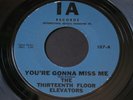 Thirteenth Floor Elevators   You're Gonna Miss Me   IA   garage psych 45 HEAR