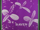 RAVEN: Back To Ohio Blues LP (very faint cw) Rock & Pop