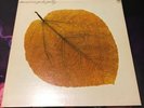 Pete Jolly Seasons A&M Original LP Spacey Electronic Jazz Funk Samples Vinyl