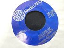 Vtg Chicago Cubs MLB Go Cubs Go Steve Goodman WGN Radio 720 Record 7