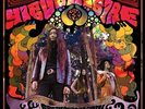 HIBUSHIBIRE - Freak Out Orgasm - LP (purple) RIOT SEASON