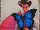 PAUL HUF Cover PHILIPS S04627L - PUCCINI MADAMA BUTTERFLY KOSTELANETZ - LP