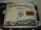 BLACK STONE CHERRY - BETWEEN THE DEVIL AND THE DEEP BLUE SEA LTD SILVER LP MINT