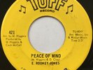 E. RODNEY JONES Peace of Mind NORTHERN SOUL 45 *hear*