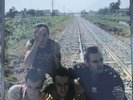 THE CLASH 