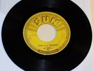 The Sunrays - Love Is A Stranger/The Lonely Hours - Sun 293 - 1958