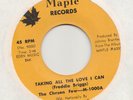 NORTHERN  SOUL / SWEET SOUL  - CHOSEN FEW -- TAKING ALL THE LOVE I CAN