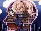 Squeeze - The Knowledge NEW LP
