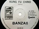 Banzaii Kung Fu Chino 7