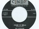 DOO WOP 45 - FRANKIE VALLE AND ROMANS 