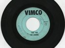 The Visions Take Her / She's The Girl For Me On Vimco   Garage  45