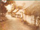LP The Boys Of The Lough To Welcome Paddy Home STILL SEALED NEW OVP Shanach