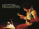 Jimi Hendrix Experience, The-Live At Monterey VINYL LP NEUF