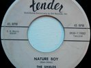 SHIELDS .  Nature Boy / I'm Sorry now .. Orig.45 on TENDER .. 2-Sider ....RARE .