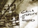 Beggars Banquet - Strength in Numbers