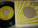 ELVIS PRESLEY 45 - MYSTERY TRAIN - ORIG. SUN - NO PUSH MARKS