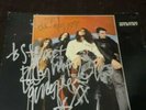 Primal Scream Ivy Ivy Ivy Signed 12