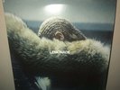 Beyonce - Lemonade 180 Gram, Yellow Colored DOUBLE Vinyl, gatefold, download