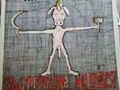THE FAT WHITE FAMILY - CHAMPAGNE HOLOCAUST  VINYL LP ROCK INDEPENDENT GOOD USED