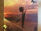 Pretty Things LP Parachute Psych Rare Earth Original US EX  Amazing Album