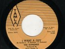 MOTOWN-SUPREMES-I WANT A GUY/NEVER AGAIN-TAMLA 54038