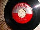 Robins 45 rpm  SPARK  'Framed'  'Loop De Loop Mambo'