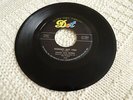 MAMIE VAN DOREN  NOBODY BUT YOU/A LIFETIME OF LOVE DOT 15883 M-