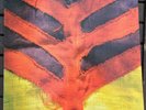Yeah Yeah Yeahs ?– Show Your Bones 2006 US Release Vinyl LP on Interscope