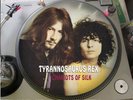 Tyrannosaurus Rex ?– Chariots Of Silk (Unicorn) RARE 12