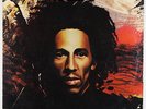 Bob Marley & The Wailers - Natty Dread LP - Island