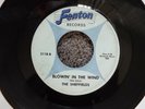 RARE MICHIGAN GARAGE ROCK-FENTON 2118-THE SHEFFIELDS-BLOWIN IN THE WIND-45