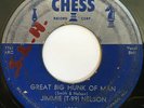JIMMIE T99 NELSON Great Big Hunk of Man/Free and Easy Mind BLUES R&B 45 *hear*