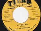 ROCKABILLY SURF INSTRO- BOOKWORMS -(with ray stanley) Ditching