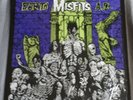 Misfits ?– Earth A.D. / Wolfs Blood Vinyl LP Plan 9 - 1991 pressing