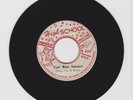 HIGH SCHOOL/ FEEL NICE VERSION - BONGO HERMAN & BONGO LES (73 REGGAE ROOTS 7