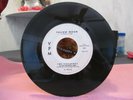 THE VISCAYNES - YELLOW MOON & UNCLE SAM NEEDS YOU, VPM 1006 VG