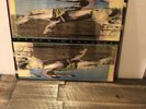 WIDESPREAD PANIC   SPACE WRANGLER ORIGINAL 1988 VINYL LANDSLIDE RECORDS LD-1016