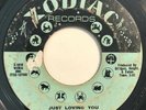 * RUBY ANDREWS Just Loving You / The Love I Need NORTHERN SOUL Zodiac 45 Hear